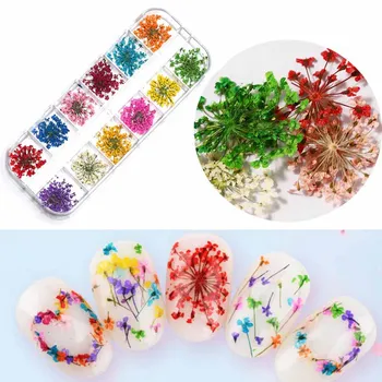 24 Adet Kurutulmuş Çiçek Nail Art Süslemeleri 3D Degrade Karışık Petal Kuru Çiçek DIY Çıkartmaları Lehçe Jel Manikür Sticker Aksesuarları
