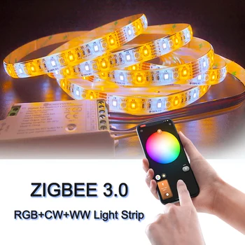 ZigBee 3.0 led ışık şeridi denetleyici Pro RGBCCT 12V ile Çalışmak Hub Köprüsü, Echo Plus için APP / Alexa Ses kontrolü ev dekor ışık